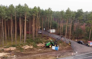 Odrzucono wniosek przeciwko ścinaniu drzew pod budowę fabryki Tesli