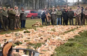 Kaszuby. Myśliwi świętowali zakończenie polowania na lisy