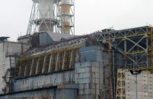 Życie kwitnie w Fukushimie i Czarnobylu