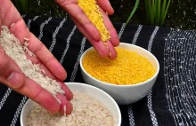 Charakterystyka cząsteczkowa i ocena bezpieczeństwa ryżu z prowitaminą A. [ENG.]