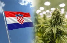 Czy Chorwacja zalegalizuje marihuanę? Projekt ustawy przewiduje możliwość...