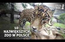 10 Największych ZOO w Polsce