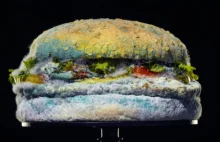 Burger King reklamuje się... spleśniałym hamburgerem