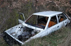 Polonez „Borewicz” znaleziony w krzakach we Francji. Był sprzedawany w tym kraju