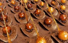 [GzW] Ciasto orzechowo-czekoladowe z kremem Rocher