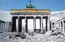 AfD nie chce pomnika polskich ofiary wojny w Berlinie