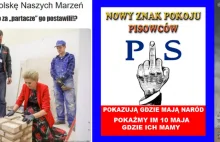 PiS – partia środkowego palca.