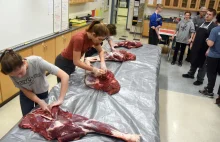 Uczniowie na lekcjach uczą się oprawiać mięso dzikiej zwierzyny