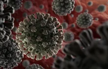 WHO: kończy się szansa na powstrzymanie rozszerzania się epidemii koronawirusa