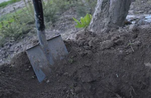 Urodziła dziecko, włożyła je do pudełka i zakopała w ogródku. Sąd uznał, że...