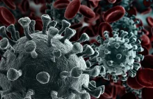 CONFIRMED: CoVid-19 coronavirus found to contain unique "gain-of-function"...