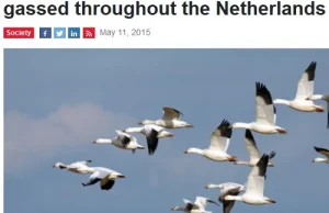 Skutki zakazu polowań w Holandii