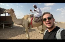 Mój znajomy Emiratczyk i jego hodowla wielbłądów warta SETKI MILIONÓW...
