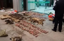 Chiński rząd zakazuje handlu i spożywania dzikich zwierząt