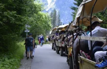 Morskie Oko: fiakrzy skazani za znęcanie się nad końmi