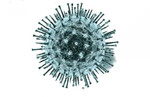 Coronavirus stats - check freshness informations!