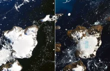 Antarktyka: W 9 dni na wyspie stopiło się 20 proc. śniegu