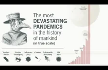 Najbardziej zabójcze epidemie w historii