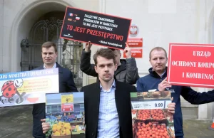 Znaleźli polskie truskawki w lutym. Znany rolnik znów punktuje sieci handlowe