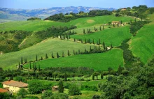 LA FOCE – cyprysowy zygzak, punkt widokowy w Val d’Orcia, Toskania