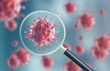 Pierwszy potwierdzony przypadek koronawirusa 2019-nCoV w Polsce