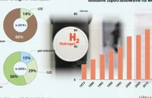 Niemcy wkraczają w erę wodorową. Chcą uniezależnić gosp. od paliw kopalnianych