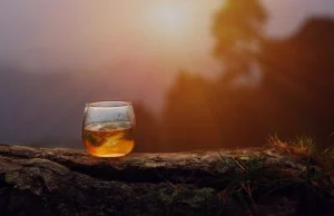 W Polsce rozwija się produkcja whisky - m.in. dzięki crowdfundingowi udziałowemu