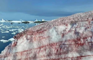 Antarktyda: "Krew" lodowców niepokoi badaczy. Może przyspieszać zmiany...