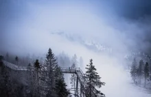 Ścieżka w Koronach Drzew - piękne miejsce tuż przy granicy polsko-słowackiej