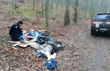 Ustalili osobę, która zaśmieciła las w Gdyni