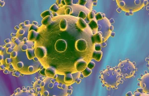 6 przypadek zakażenia coronavirusem w Polsce