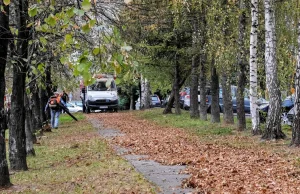 Warszawa. Jest zakaz używania dmuchaw na terenach miejskich.