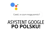 Asystent Google przeczyta strony internetowe po polsku