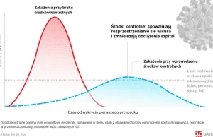 COVID-19 może przeciążyć szpitale. Ten wykres pokazuje, co nam dają środki...