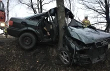 Audi dosłownie owinęło się wokół drzewa, kierowcy nic się nie stało!