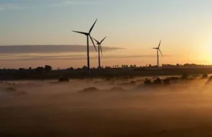 Farmy wiatrowe dają rekordowy wynik Polenergii