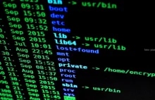 Atak hakera – resort cyfryzacji przygotowuje plan obrony