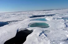 Naukowcy znaleźli pod arktycznym lodem nowe bakterie... chorób wenerycznych