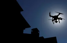 Naukowcy opracowali drona-nietoperza. Idealny do pracy w nocy