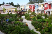 Cohousing - mieszkać po ludzku