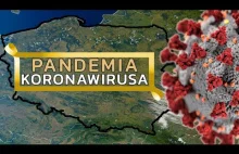 Czym są WIRUSY? - kwarantanna i pandemia SARS-COV-2