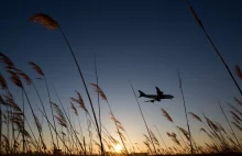 Eksperci: Większość linii lotniczych zbankrutuje w dwa miesiące