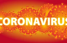 Koronawirus na Podkarpaciu - Najważniejsze informacje