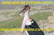 Było się śmiać