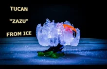Short story about Tucan in the ice ball [ in