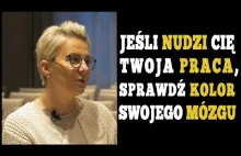 3 "kolory" mózgu? - Ciekawa teoria Anny Urbańskiej