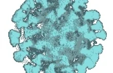 Kevzara – lek, który jest rozpatrywany w leczeniu koronawirusa.