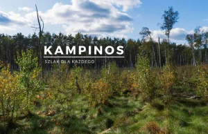 Kampinos - szlak pieszy dla każdego - ucieczka od tłumów