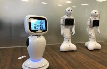 Belgia: Roboty pomogą seniorom kontaktować się z bliskimi