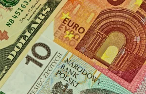 Złoty się załamał. Dolar, frank i euro drożeją w oczach